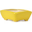 Pot à bonsaï rectangulaire jaune par Seto - 70 x 55 x 25 mm