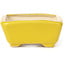 Rectangular yellow bonsai pot by Seto - 70 x 55 x 25 mm