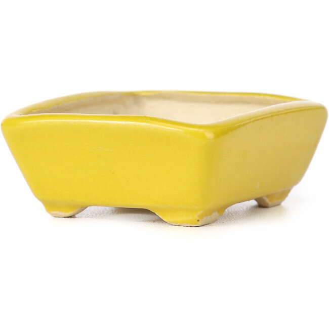 Vaso bonsai giallo rettangolare di Seto - 70 x 55 x 25 mm
