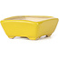 Pot à bonsaï rectangulaire jaune par Seto - 70 x 55 x 25 mm
