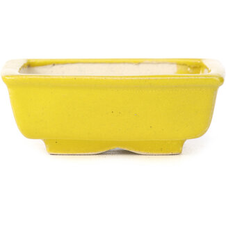 Seto 85 mm rectangular yellow bonsai pot by Seto, Japan