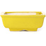 Pot à bonsaï rectangulaire jaune par Seto - 85 x 70 x 30 mm