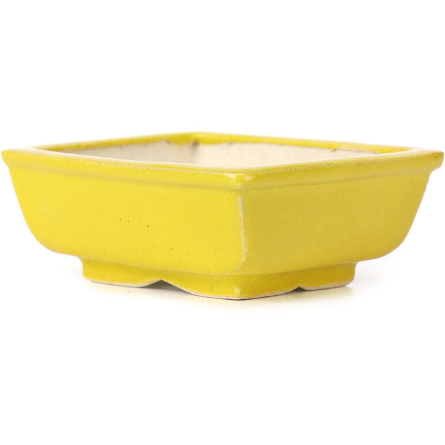 Rectangular yellow bonsai pot by Seto - 85 x 70 x 30 mm