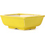Pot à bonsaï rectangulaire jaune par Seto - 85 x 70 x 30 mm