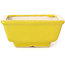 Pot à bonsaï rectangulaire jaune par Seto - 85 x 70 x 30 mm