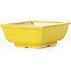 Pot à bonsaï rectangulaire jaune par Seto - 85 x 70 x 30 mm