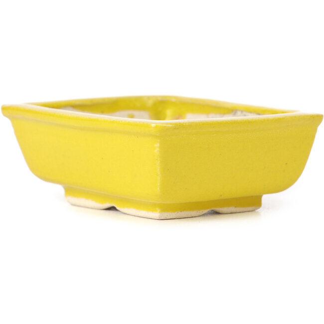 Vaso bonsai giallo rettangolare di Seto - 85 x 70 x 30 mm