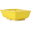 Pot à bonsaï rectangulaire jaune par Seto - 85 x 70 x 30 mm