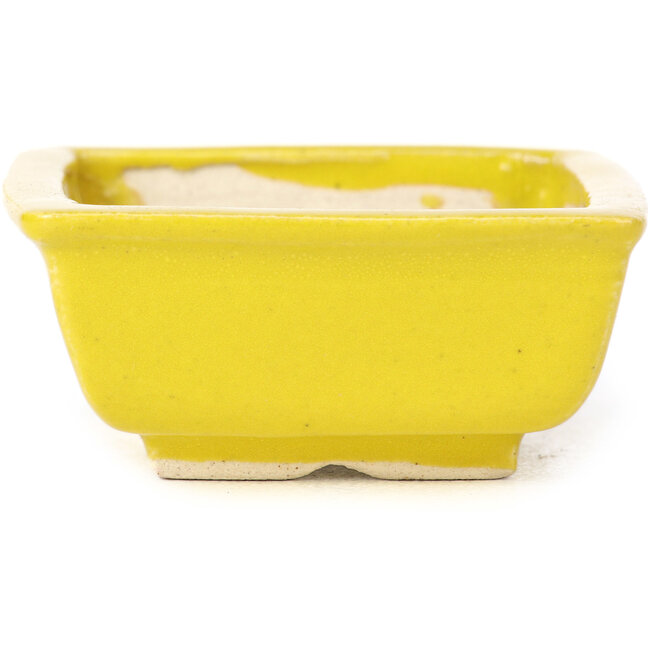 Vaso bonsai giallo rettangolare di Seto - 85 x 70 x 30 mm