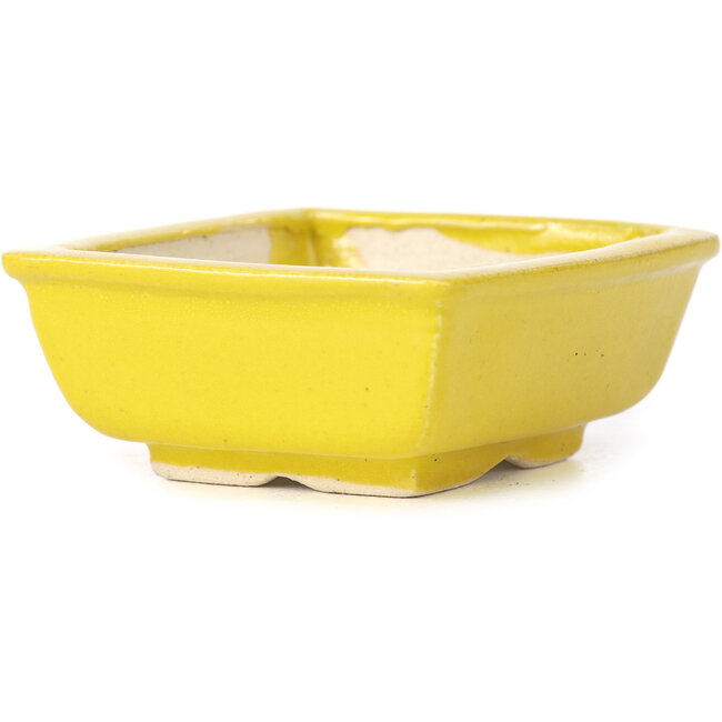 Vaso bonsai giallo rettangolare di Seto - 85 x 70 x 30 mm
