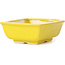 Pot à bonsaï rectangulaire jaune par Seto - 85 x 70 x 30 mm