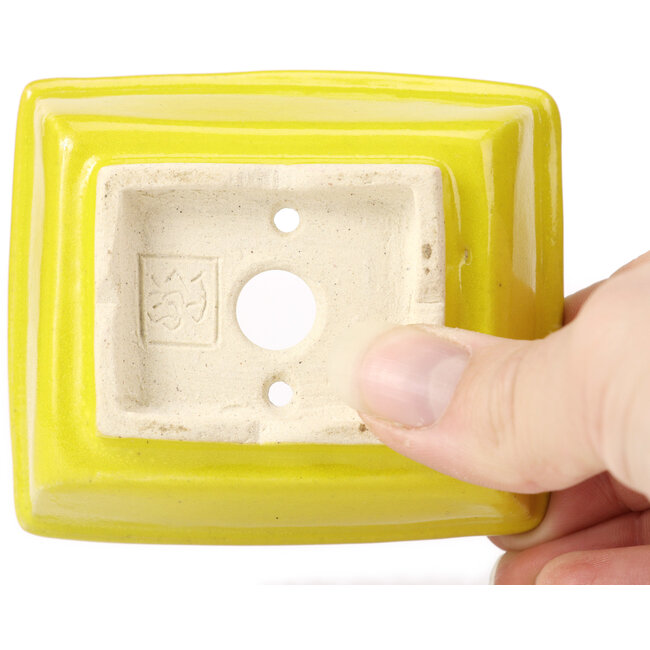 Pot à bonsaï rectangulaire jaune par Seto - 85 x 70 x 30 mm