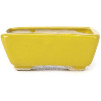 Seto 75 mm rectangular yellow bonsai pot by Seto, Japan