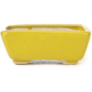 Seto Pot à bonsaï jaune rectangulaire 75 mm par Seto, Japon
