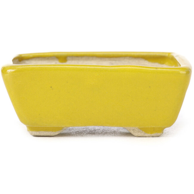 Pot à bonsaï rectangulaire jaune par Seto - 75 x 65 x 30 mm