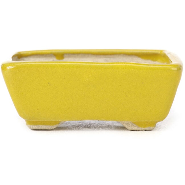 Rectangular yellow bonsai pot by Seto - 75 x 65 x 30 mm