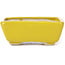 Rectangular yellow bonsai pot by Seto - 75 x 65 x 30 mm