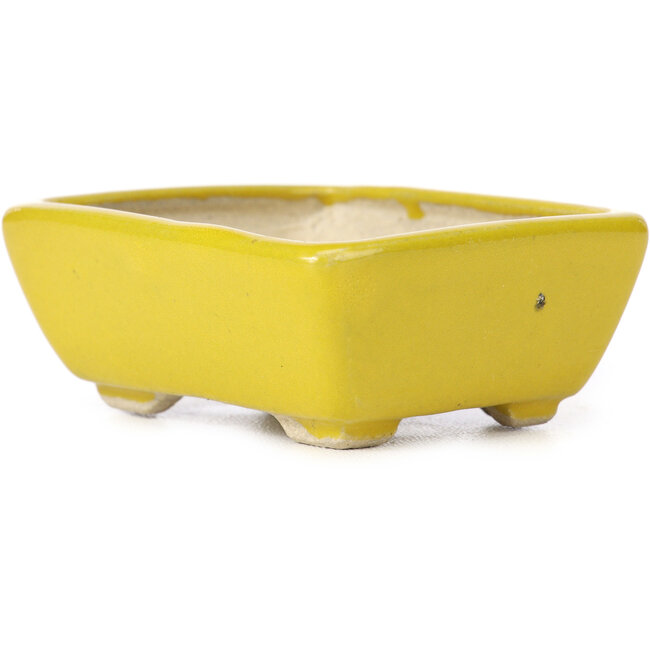 Rechthoekige gele bonsaipot van Seto - 75 x 65 x 30 mm