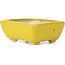 Pot à bonsaï rectangulaire jaune par Seto - 75 x 65 x 30 mm
