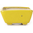 Pot à bonsaï rectangulaire jaune par Seto - 75 x 65 x 30 mm
