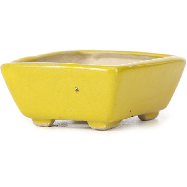 Pot à bonsaï rectangulaire jaune par Seto - 75 x 65 x 30 mm