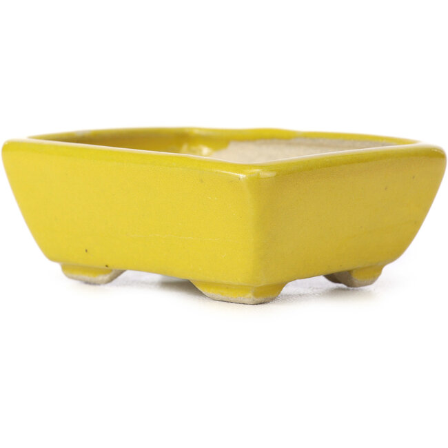 Pot à bonsaï rectangulaire jaune par Seto - 75 x 65 x 30 mm