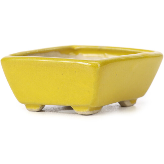 Rectangular yellow bonsai pot by Seto - 75 x 65 x 30 mm
