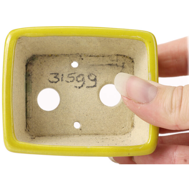 Rechteckige gelbe Bonsaischale von Seto - 75 x 65 x 30 mm