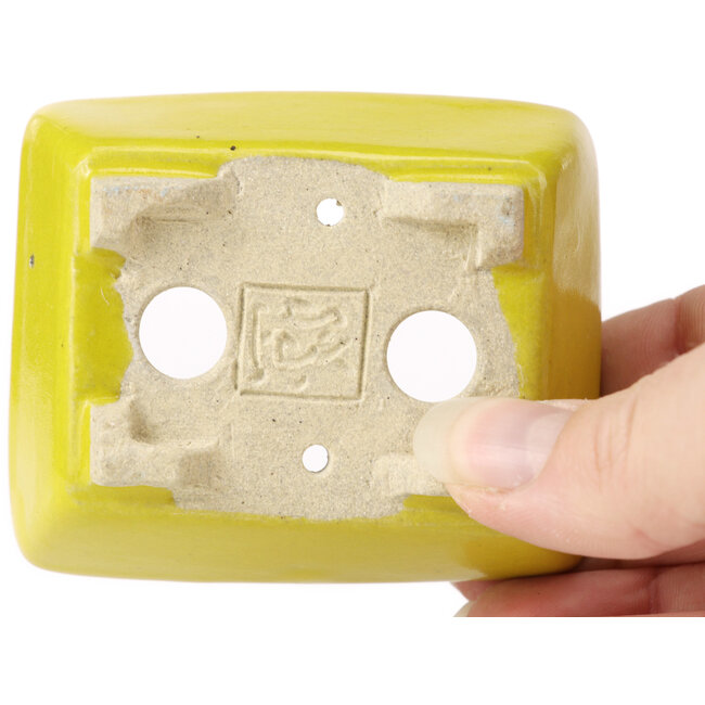 Maceta de bonsái amarilla rectangular de Seto - 75 x 65 x 30 mm