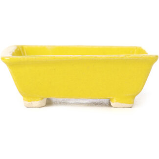 Seto 80 mm rectangular yellow bonsai pot by Seto, Japan