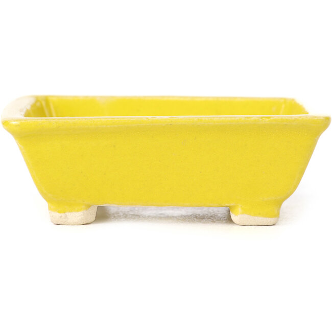 Pot à bonsaï rectangulaire jaune par Seto - 80 x 75 x 30 mm