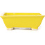 Pot à bonsaï rectangulaire jaune par Seto - 80 x 75 x 30 mm