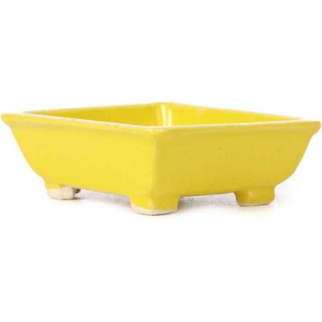 Rechthoekige gele bonsaipot van Seto - 80 x 75 x 30 mm