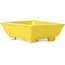 Pot à bonsaï rectangulaire jaune par Seto - 80 x 75 x 30 mm