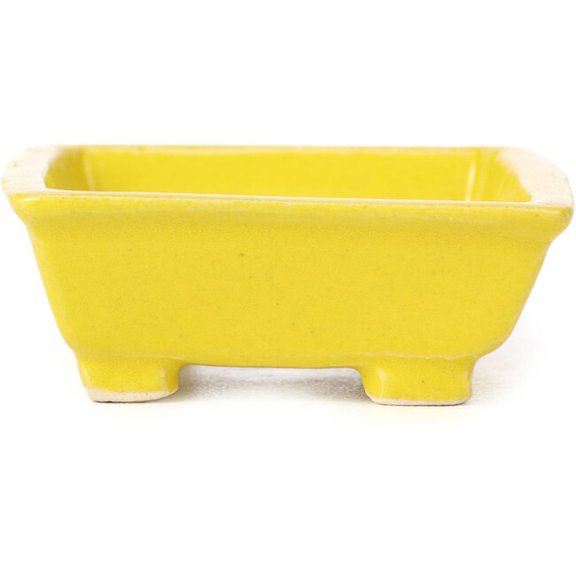 Maceta de bonsái amarilla rectangular de Seto - 80 x 75 x 30 mm