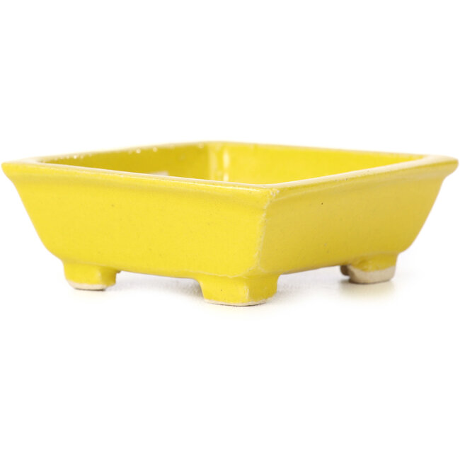 Rechteckige gelbe Bonsaischale von Seto - 80 x 75 x 30 mm