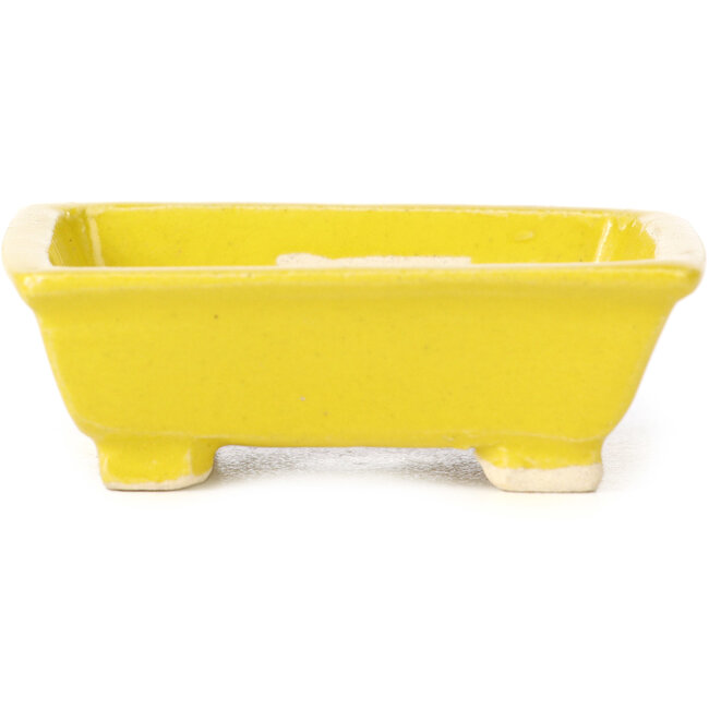 Maceta de bonsái amarilla rectangular de Seto - 80 x 75 x 30 mm