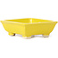 Pot à bonsaï rectangulaire jaune par Seto - 80 x 75 x 30 mm