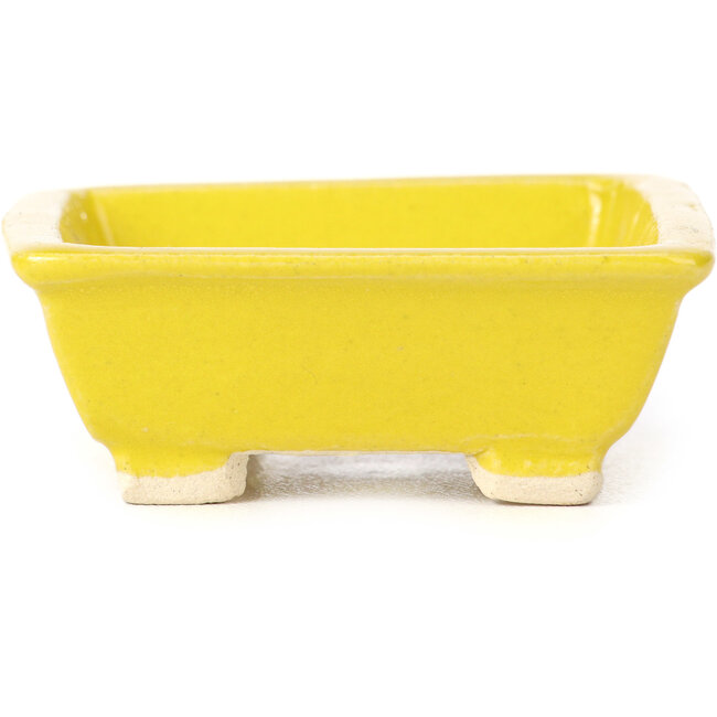 Vaso bonsai giallo rettangolare di Seto - 80 x 75 x 30 mm