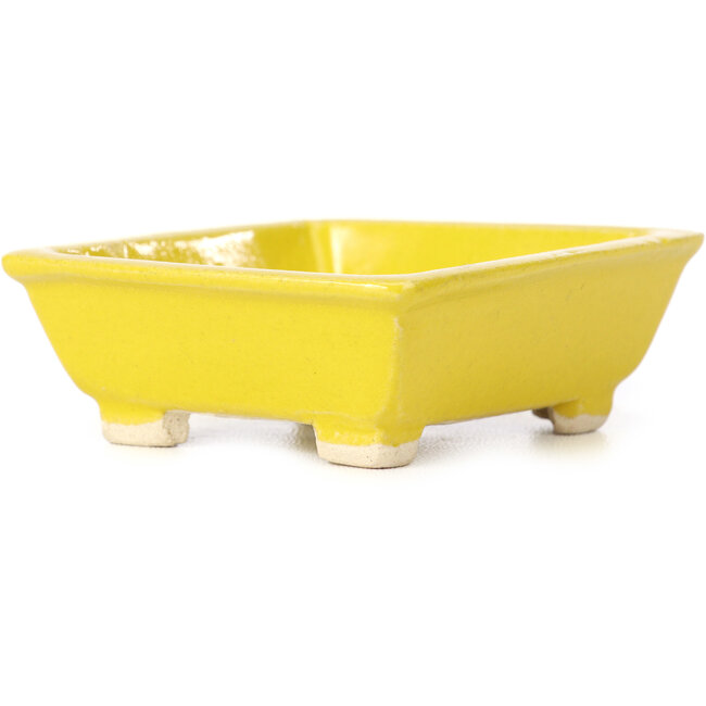 Pot à bonsaï rectangulaire jaune par Seto - 80 x 75 x 30 mm