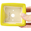 Pot à bonsaï rectangulaire jaune par Seto - 80 x 75 x 30 mm