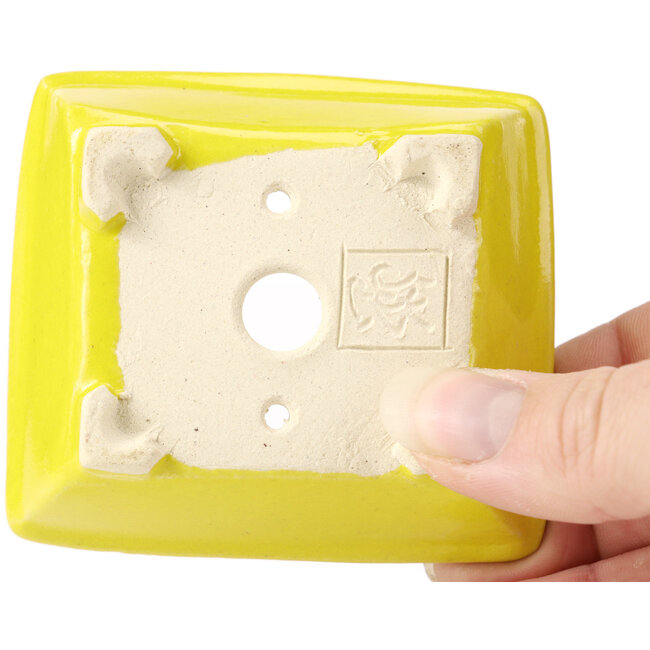 Maceta de bonsái amarilla rectangular de Seto - 80 x 75 x 30 mm
