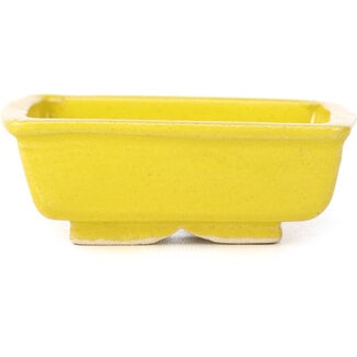 Seto 85 mm rectangular yellow bonsai pot by Seto, Japan