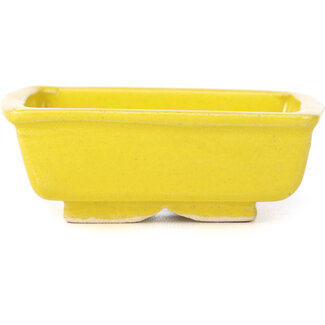 Seto Pot à bonsaï jaune rectangulaire 85 mm par Seto, Japon