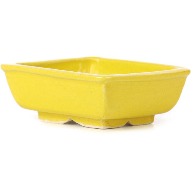 Rechteckige gelbe Bonsaischale von Seto - 85 x 70 x 30 mm