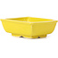 Pot à bonsaï rectangulaire jaune par Seto - 85 x 70 x 30 mm