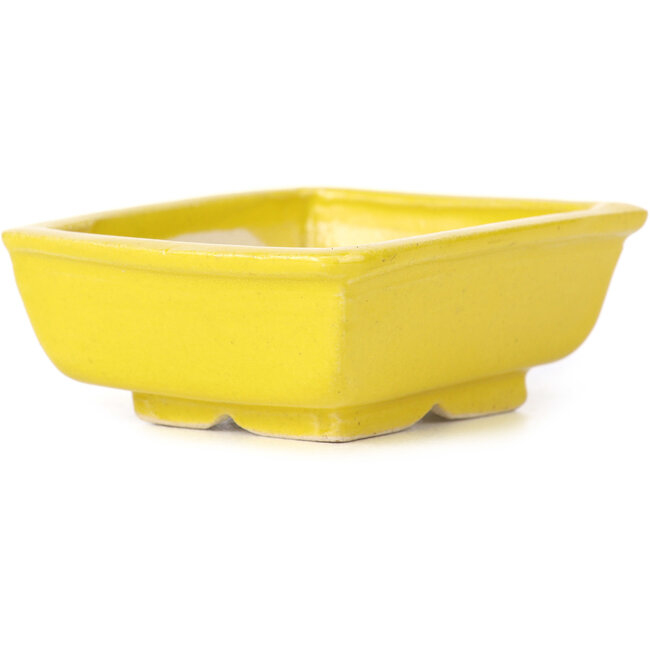 Rectangular yellow bonsai pot by Seto - 85 x 70 x 30 mm