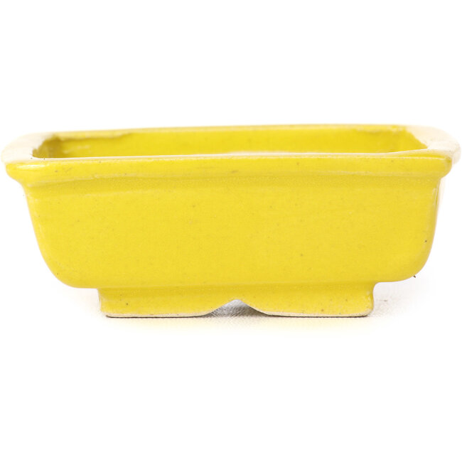Vaso bonsai giallo rettangolare di Seto - 85 x 70 x 30 mm