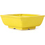 Pot à bonsaï rectangulaire jaune par Seto - 85 x 70 x 30 mm