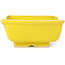 Pot à bonsaï rectangulaire jaune par Seto - 85 x 70 x 30 mm